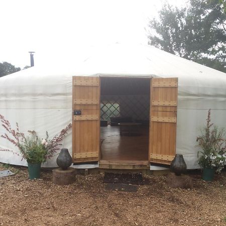 Plush Tents Yurt Village Τσίτσεστερ Εξωτερικό φωτογραφία