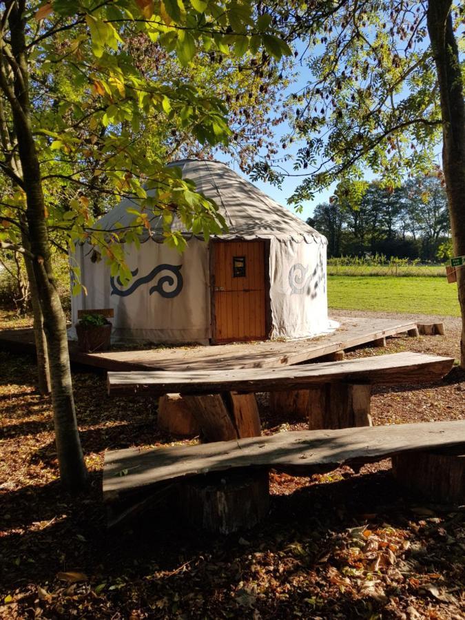 Plush Tents Yurt Village Τσίτσεστερ Εξωτερικό φωτογραφία