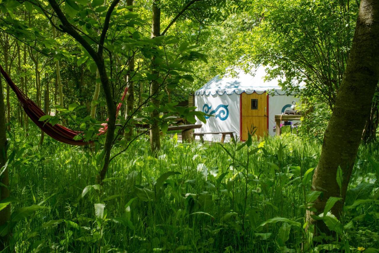 Plush Tents Yurt Village Τσίτσεστερ Εξωτερικό φωτογραφία