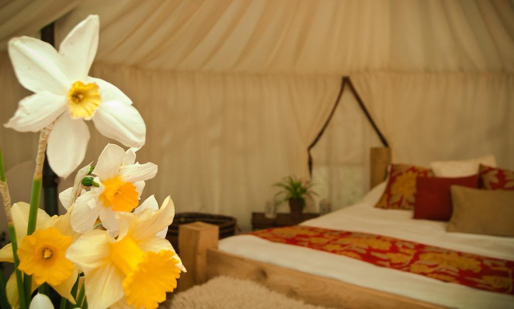 Plush Tents Yurt Village Τσίτσεστερ Δωμάτιο φωτογραφία