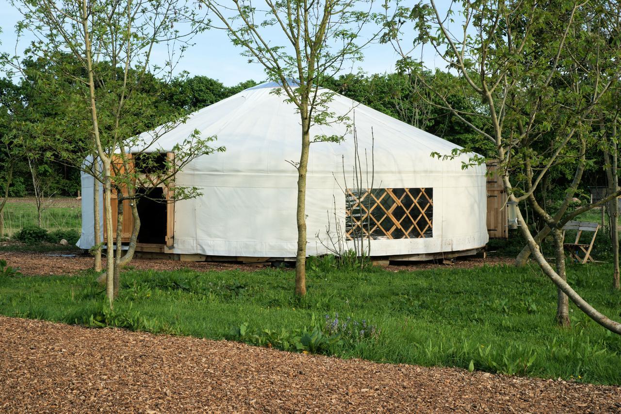 Plush Tents Yurt Village Τσίτσεστερ Εξωτερικό φωτογραφία